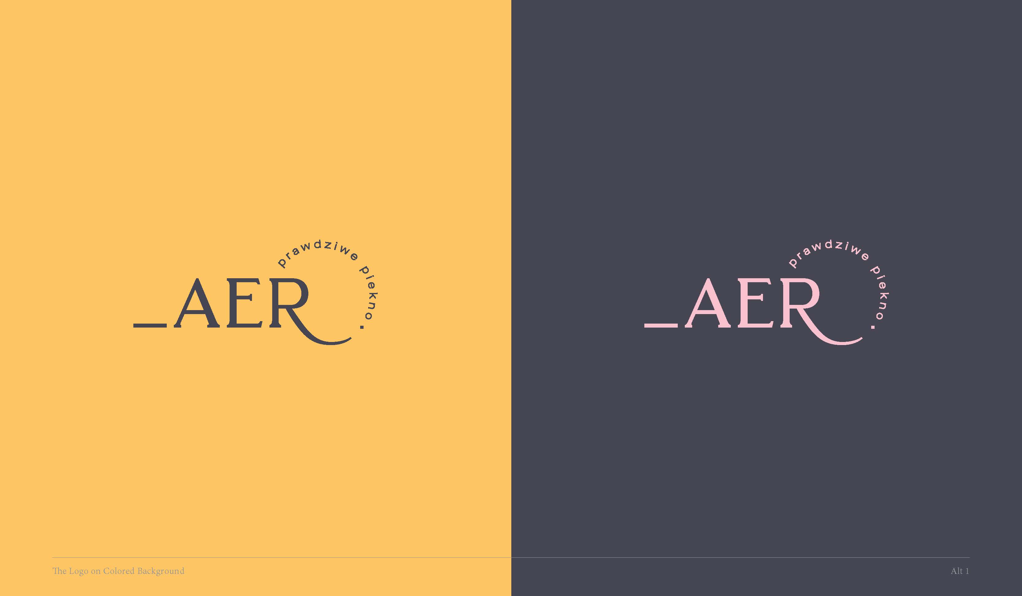 20180715 W AER Logo Dev copy_Page_03